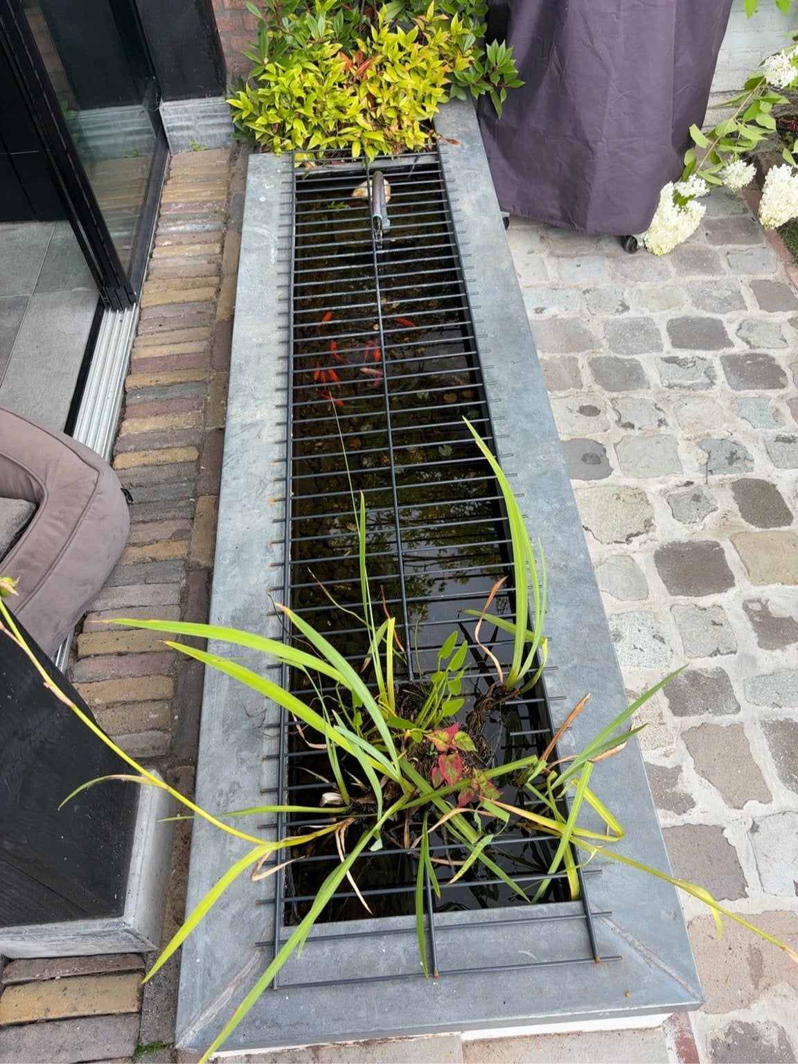 Te koop alleen inhoud van de vijver+ 2 pomp/filter, Ophalen, Zo goed als nieuw