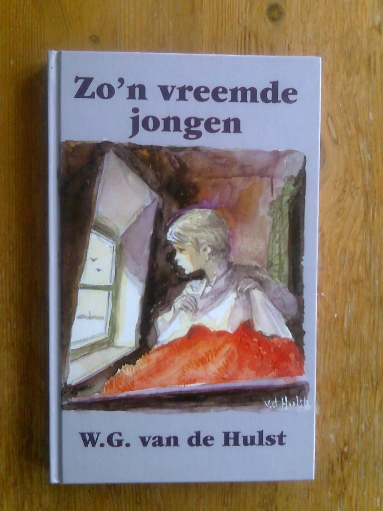 Zo'n vreemde jongen, en andere van W.G. van de Hulst, Boeken, Ophalen of Verzenden, Gelezen