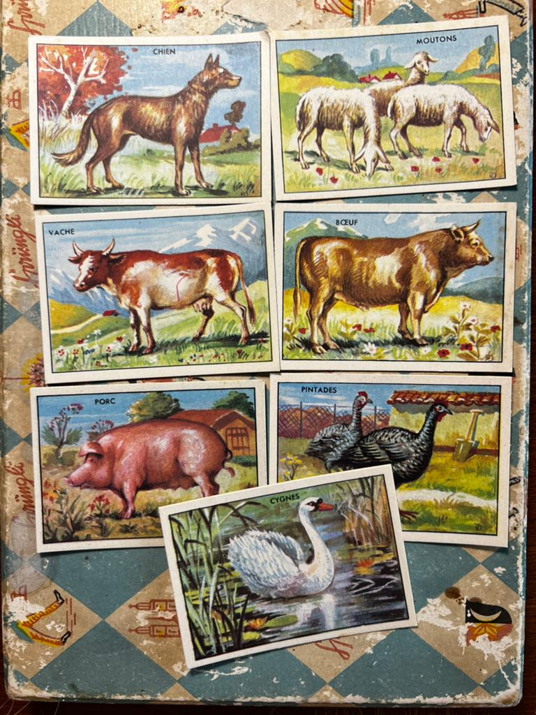 Chromo’s - dieren van de boerderij (EL), Ophalen of Verzenden, Zo goed als nieuw, Meerdere plaatjes