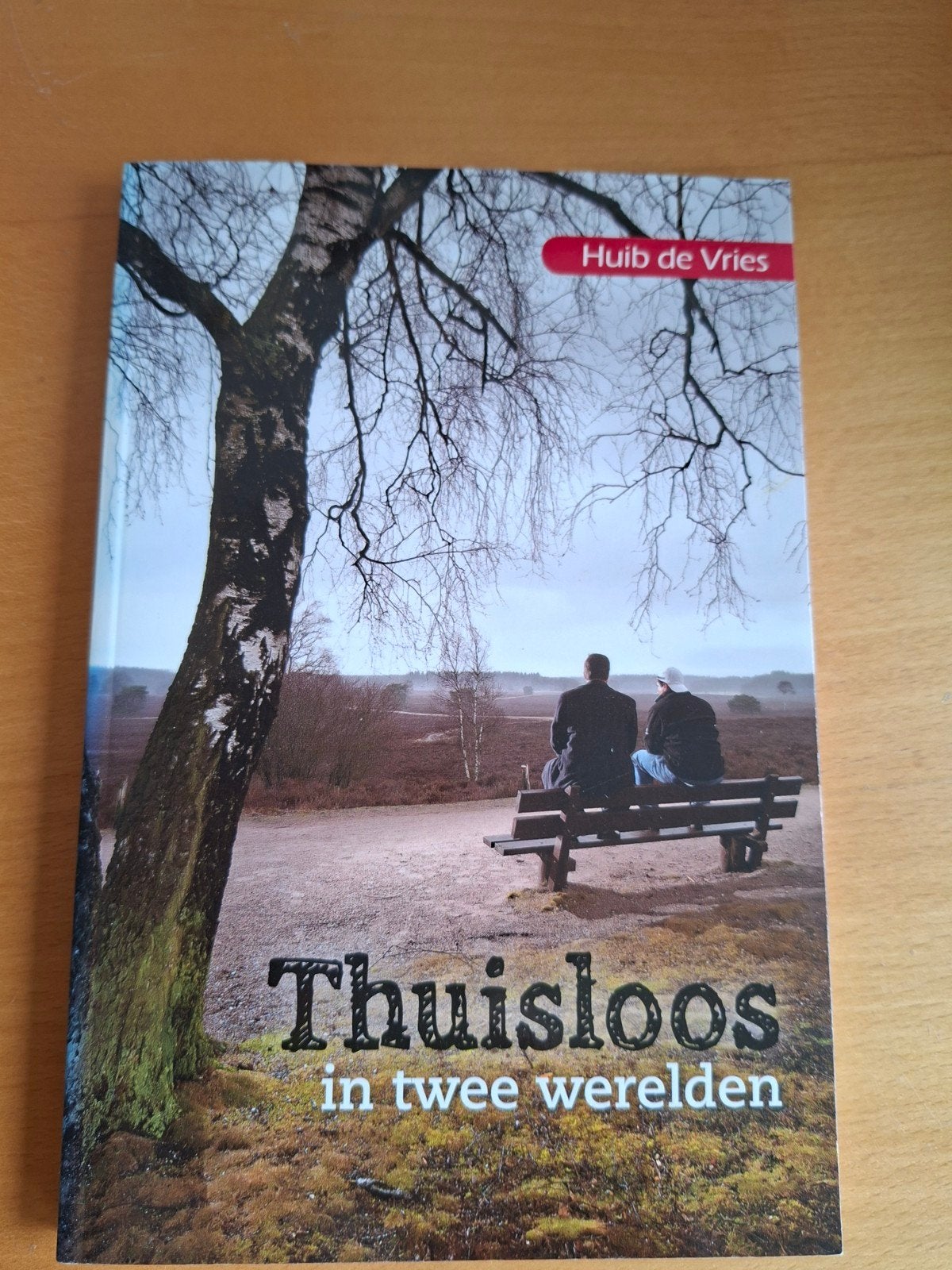 Thuisloos in twee werelden - Huib de Vries, Boeken, Verzenden, Zo goed als nieuw, Huib de Vries