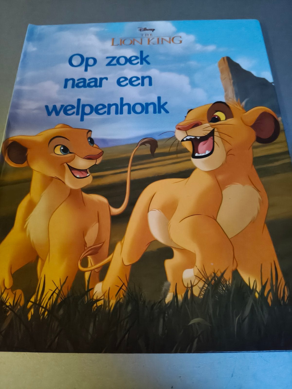 Disney The Lion King: Op zoek naar een welpenhonk, Boeken, Gelezen, 5 of 6 jaar, Jongen of Meisje, Ophalen of Verzenden