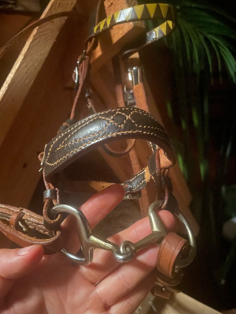 Lederen hoofdstel voor hobbyhorse of decoratie, Ophalen of Verzenden, Gebruikt
