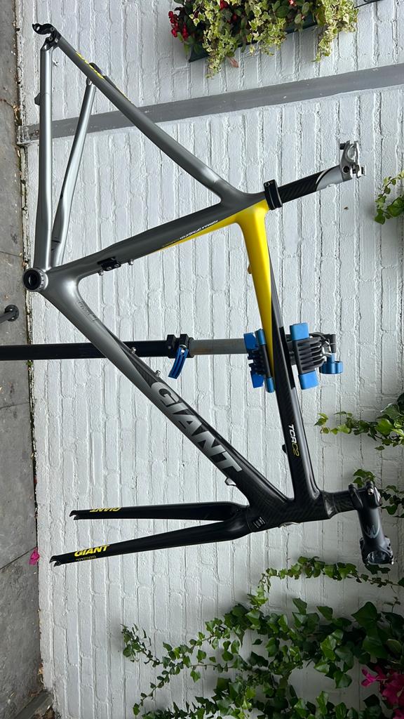 Giant TCR C2 Carbon frame, Ophalen, Gebruikt, Overige typen