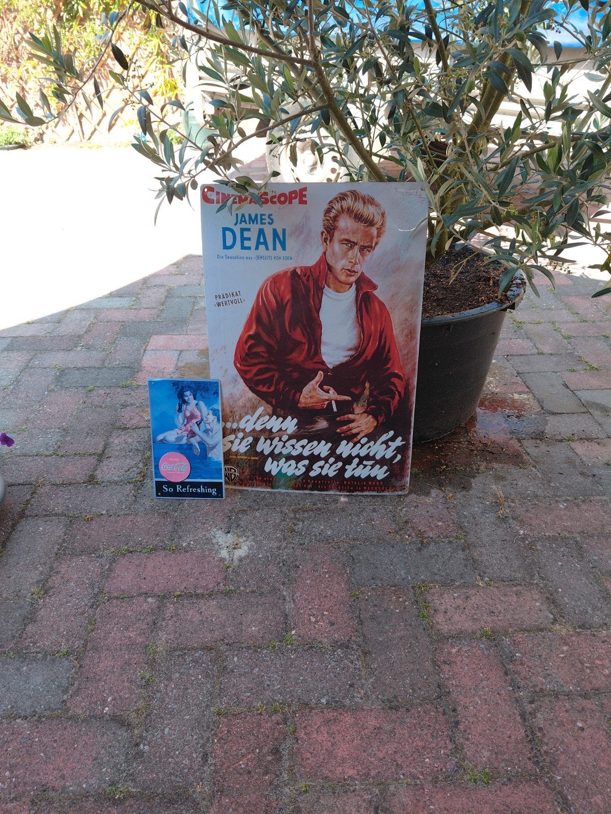 James Dean 'Rebel Without a Cause' Filmposter, Verzamelen, Ophalen