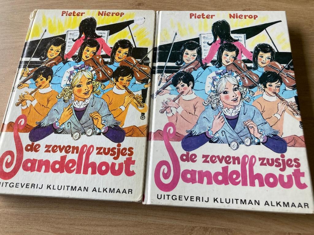 Boek Pieter Nierop, Boeken, Ophalen of Verzenden, Gelezen