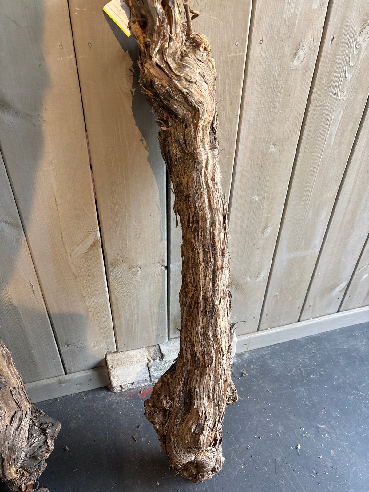 Decoratieve Wijnstok Stam - Uniek Natuurlijk Kunstwerk, Hout, Gebruikt, Ophalen of Verzenden, Landelijk