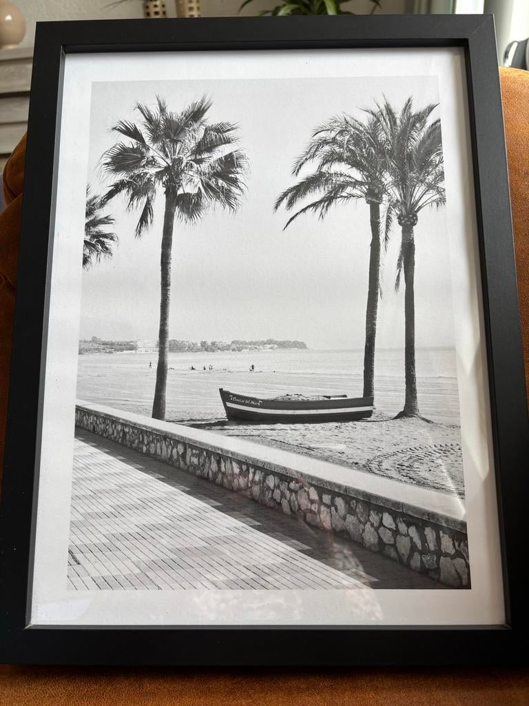 Mooi zwart-wit schilderij met strand en palmbomen, Ophalen
