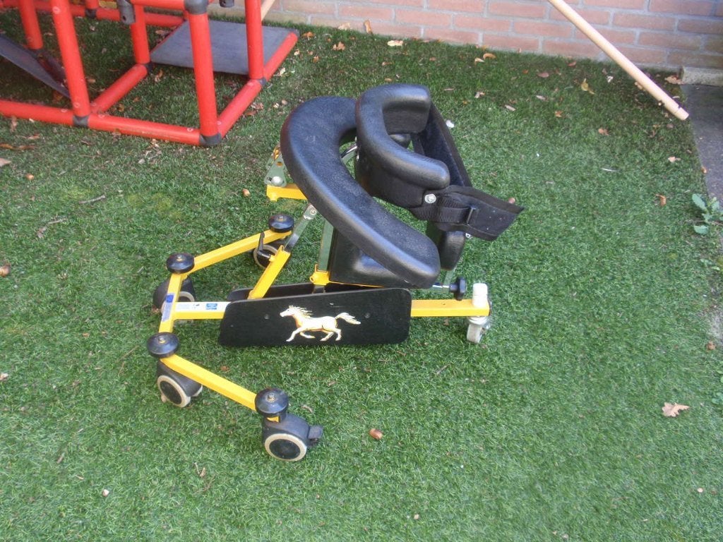 loop/trippel wagen voor gehandicapt kind, Ophalen, Gebruikt