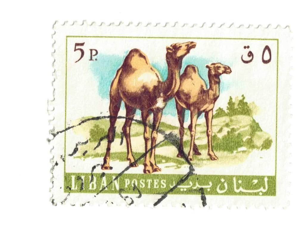 Fauna - Dieren - Kameel - Liban - 5 p - gebr, Ophalen of Verzenden, Gestempeld, Dier of Natuur