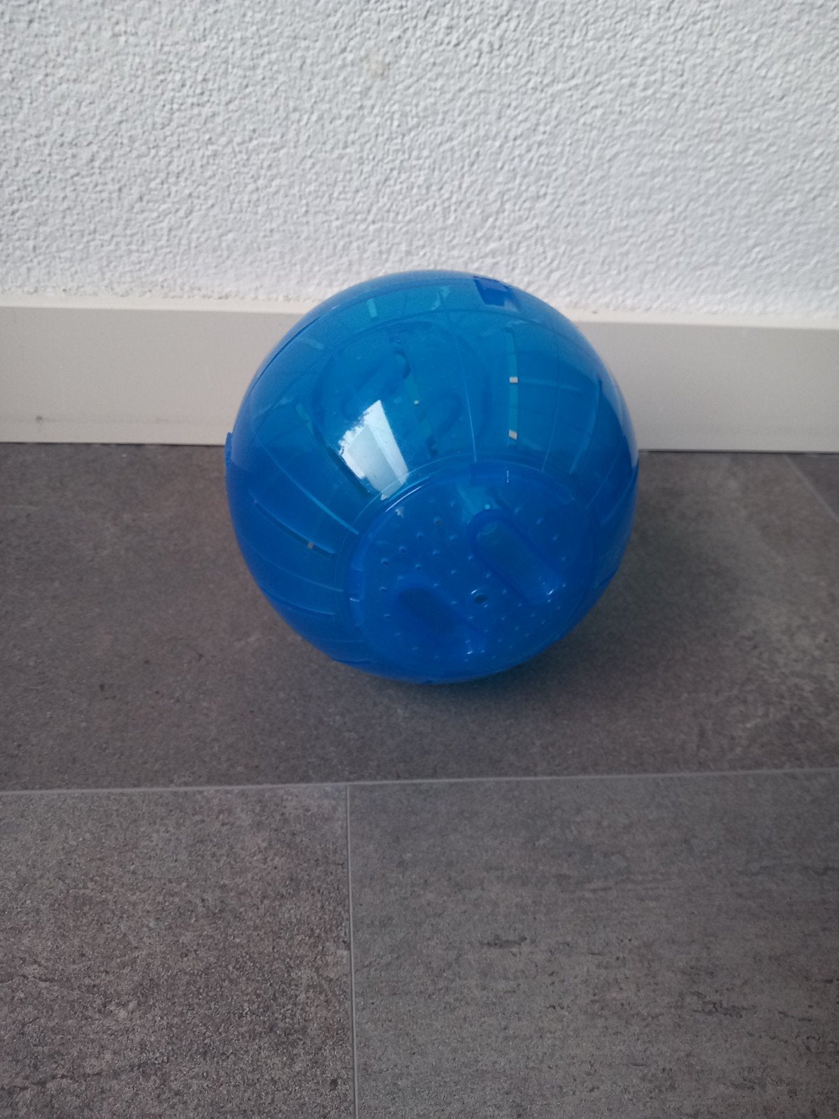 Blauwe loopbal voor goudhamster, Ophalen, Zo goed als nieuw, Speelgoed