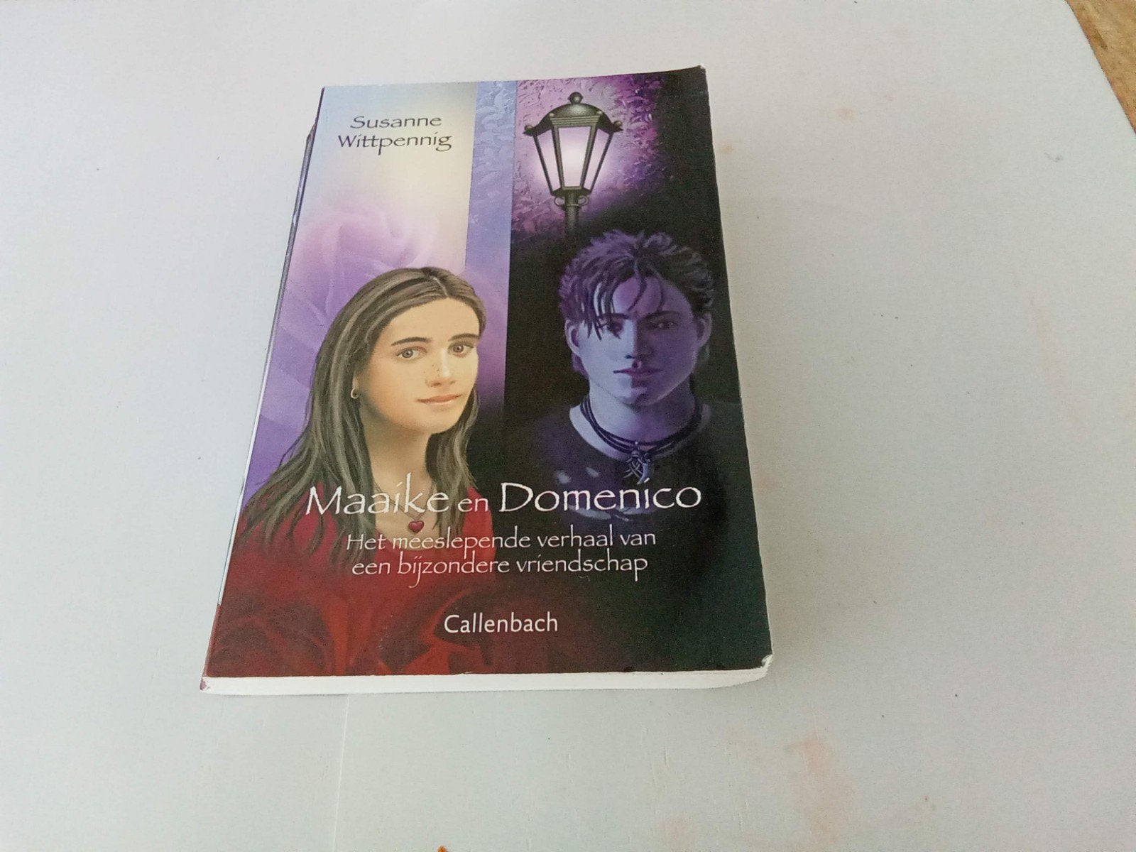 Maaike en Domenico ( Susanne Witpennig, Ophalen of Verzenden, Zo goed als nieuw