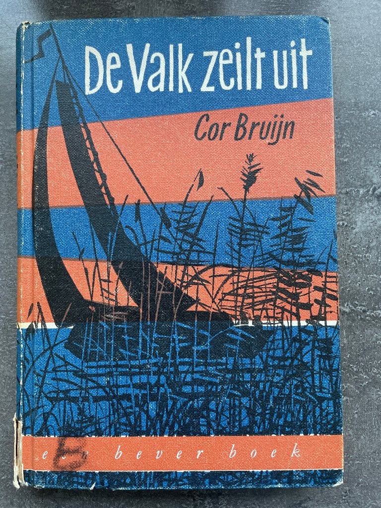 De valk zeilt uit van Cor Bruijn, Boeken, Ophalen, Gelezen