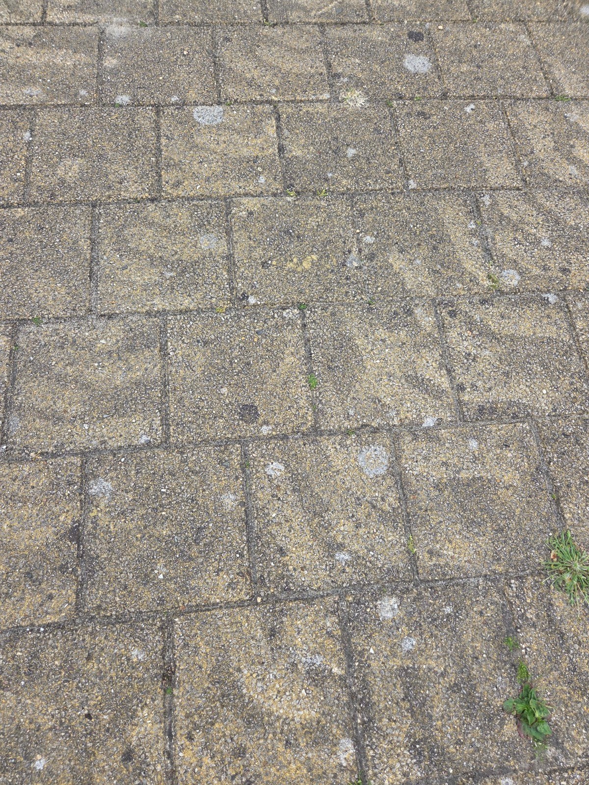 Betontegels  2020 cm, Tuin en Terras, Tegels en Klinkers, Ophalen, Beton, Terrastegels