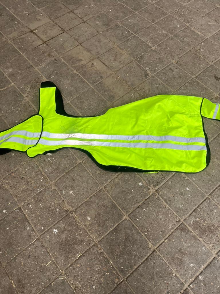 Refelctie set paard, Ophalen of Verzenden, Zo goed als nieuw
