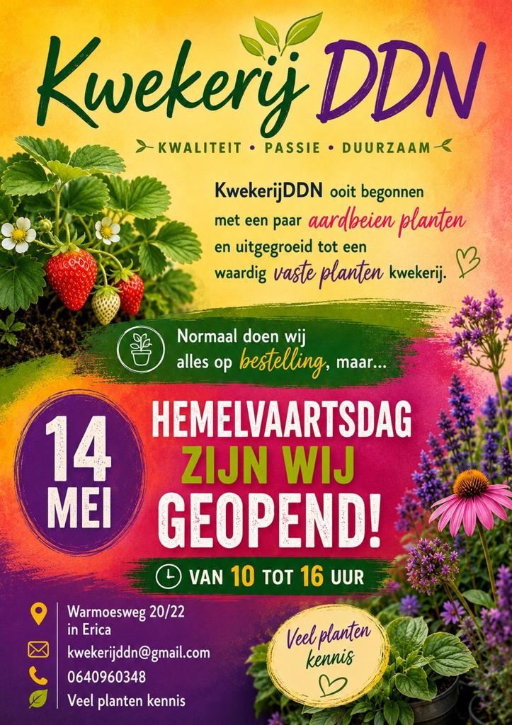 We zijn vandaag geopend van 10 tot 16 uur, Tuin en Terras, Ophalen of Verzenden, Vaste plant, Overige soorten, Volle zon