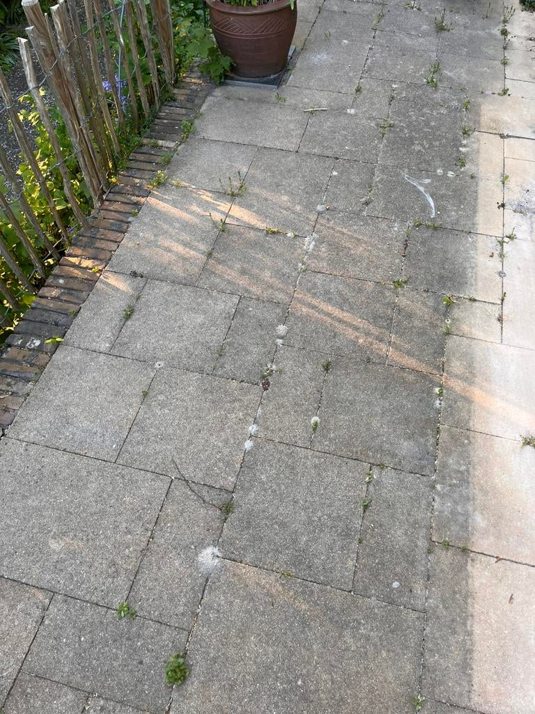 Gratis af te halen: Gebruikte betonnen terrastegels, Ophalen, Zo goed als nieuw, Minder dan 100 cm, Biels