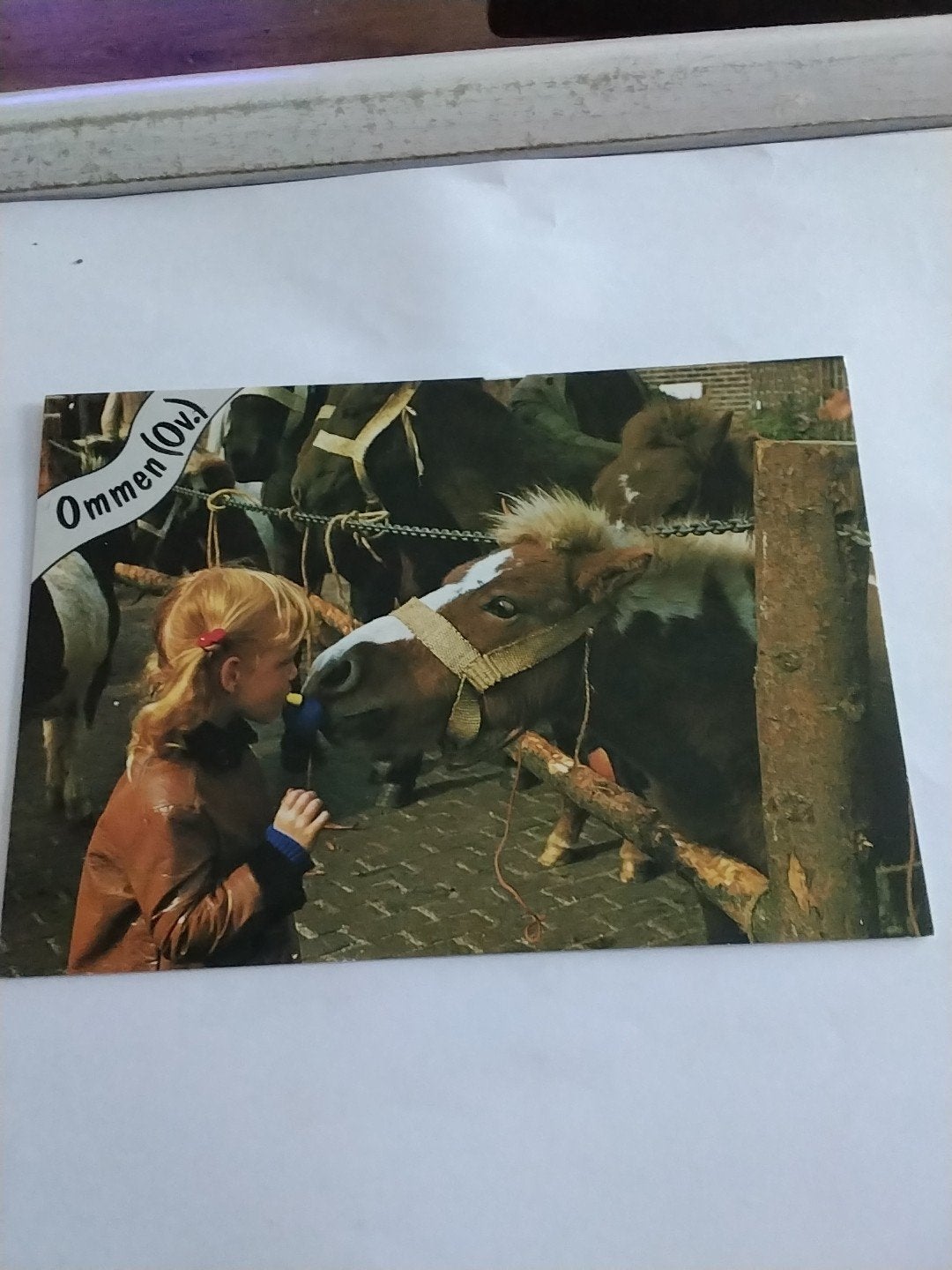 Ansichtkaart Ommen (Ov.) - Meisje met pony's, Verzamelen, Ansichtkaarten | Nederland, Ophalen of Verzenden, 1960 tot 1980, Ongelopen
