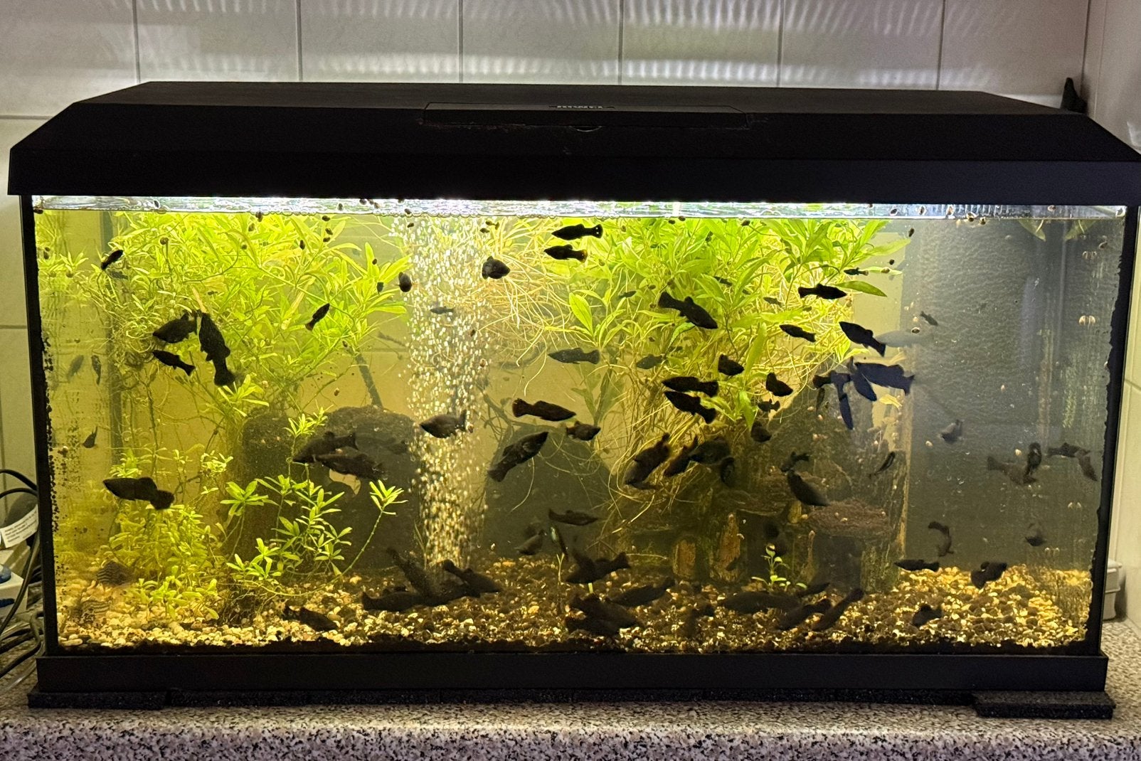 KAN SNEL GEHAALD WORDEN Aquarium Juwel Primo 110 compleet, Dieren en Toebehoren, Vissen | Aquaria en Toebehoren, Ophalen, Gebruikt