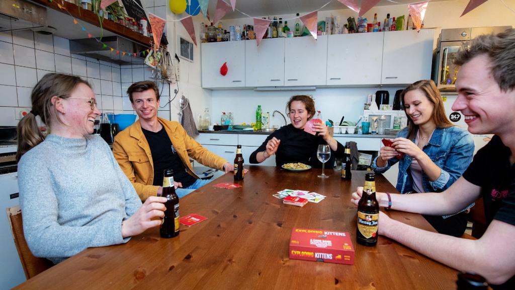 Ik zoek een kamerverhuurpand (Ede, Arnhem, Wageningen), Huizen en Kamers, Op zoek naar een huis