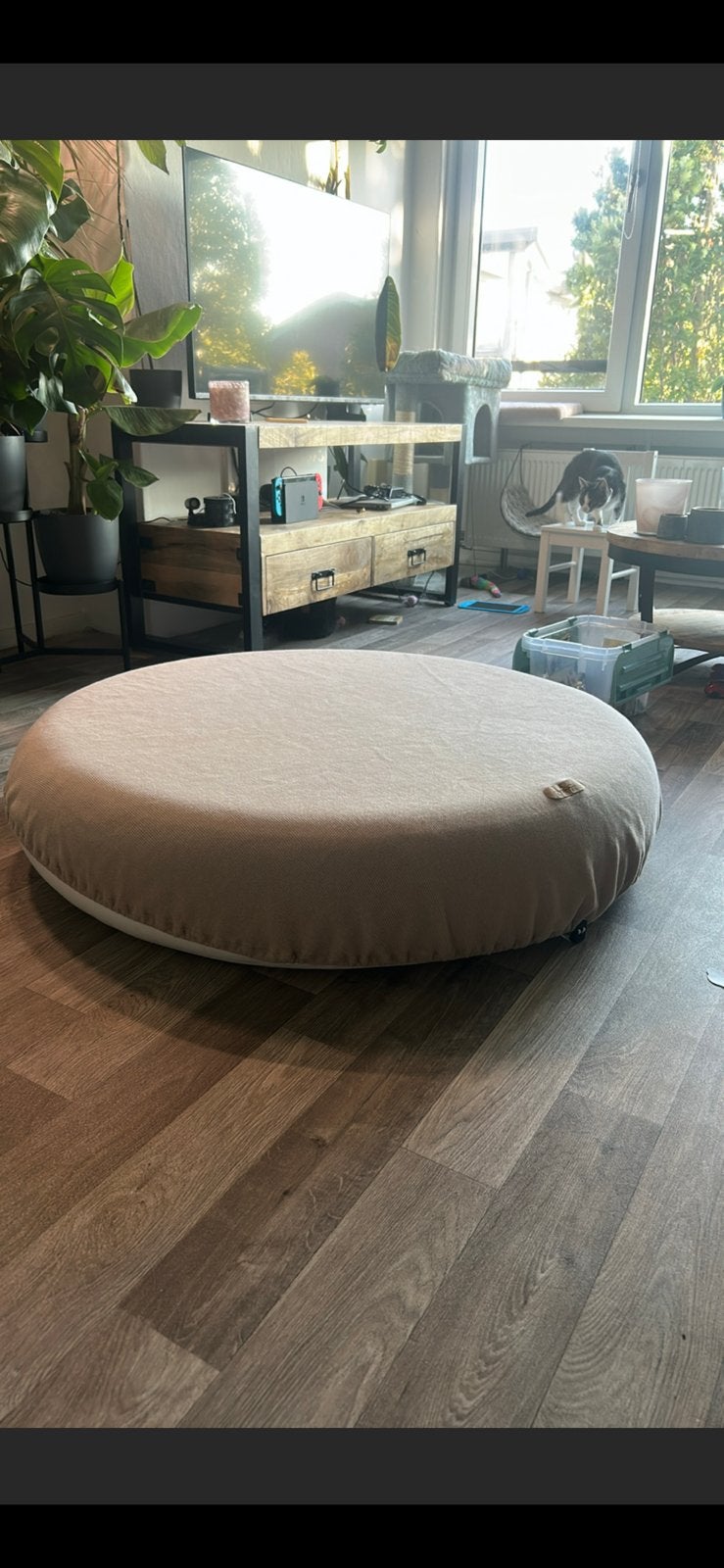 Jumpspot Dark Beige Indoor springkussen trampoline - Jupiduu, Ophalen, Zo goed als nieuw, Jongen of Meisje