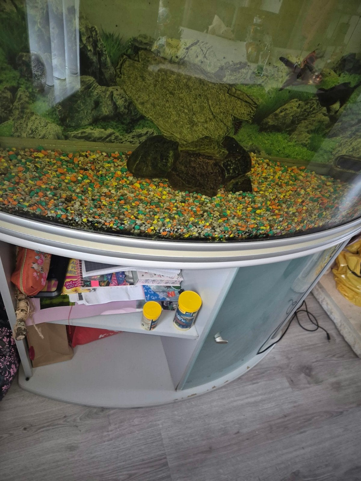 aquarium met vissen en pomp, Ophalen, Inclusief toebehoren, Gebruikt, Gevuld zoetwateraquarium