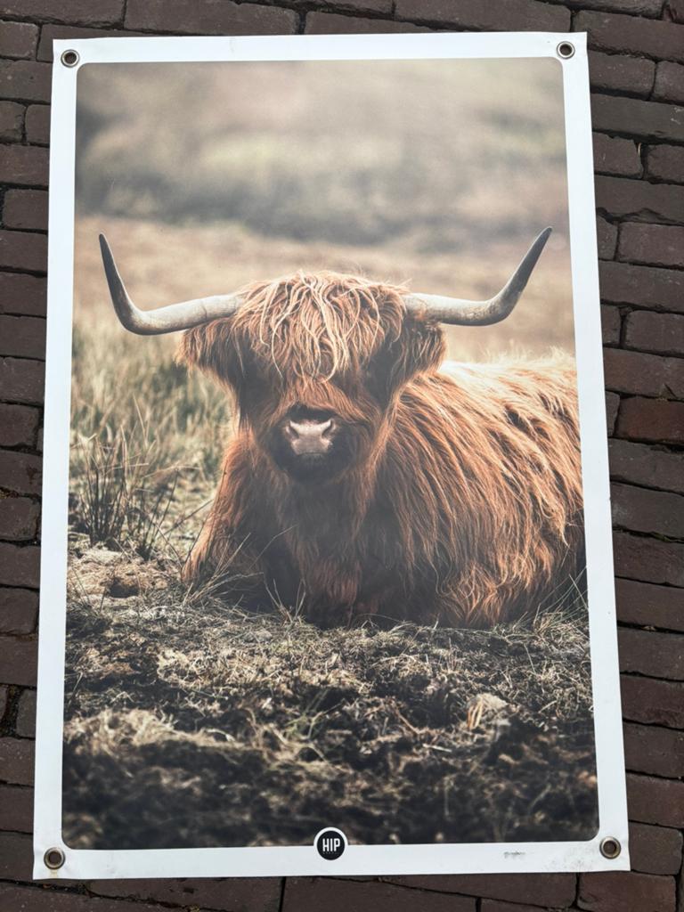 HIP ORGNL tuinposter, Ophalen, Gebruikt