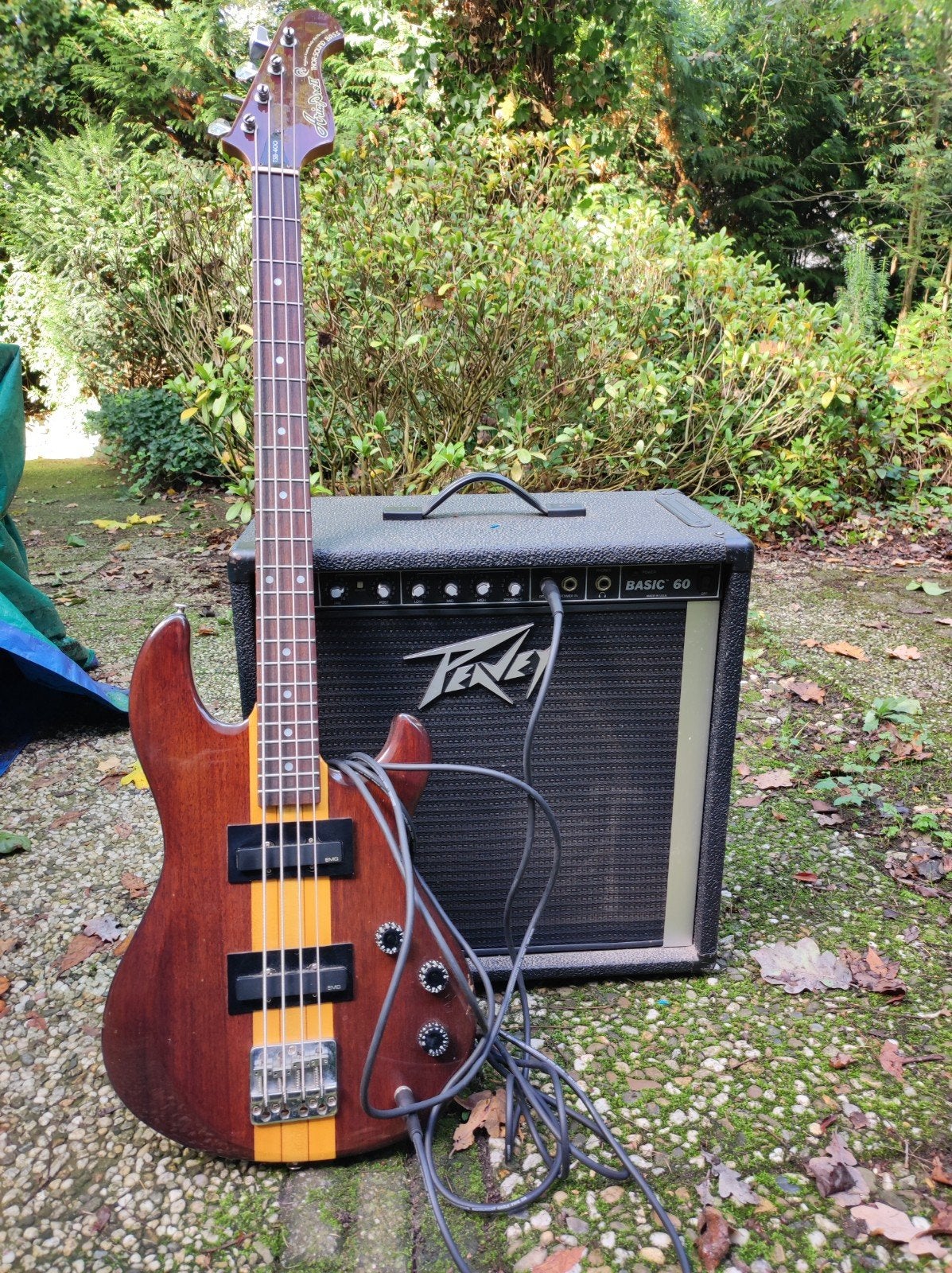 Aria Pro II Thor-Sound TSB-400 basgitaar met Peavey Basic 60, Ophalen, Gebruikt
