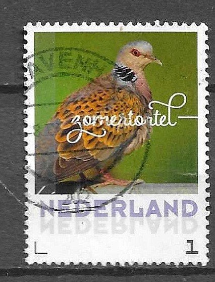 Nederland postzegel Zomertortel gestempeld-voor GWD 52 0.12, Ophalen of Verzenden, Na 1940, Gestempeld