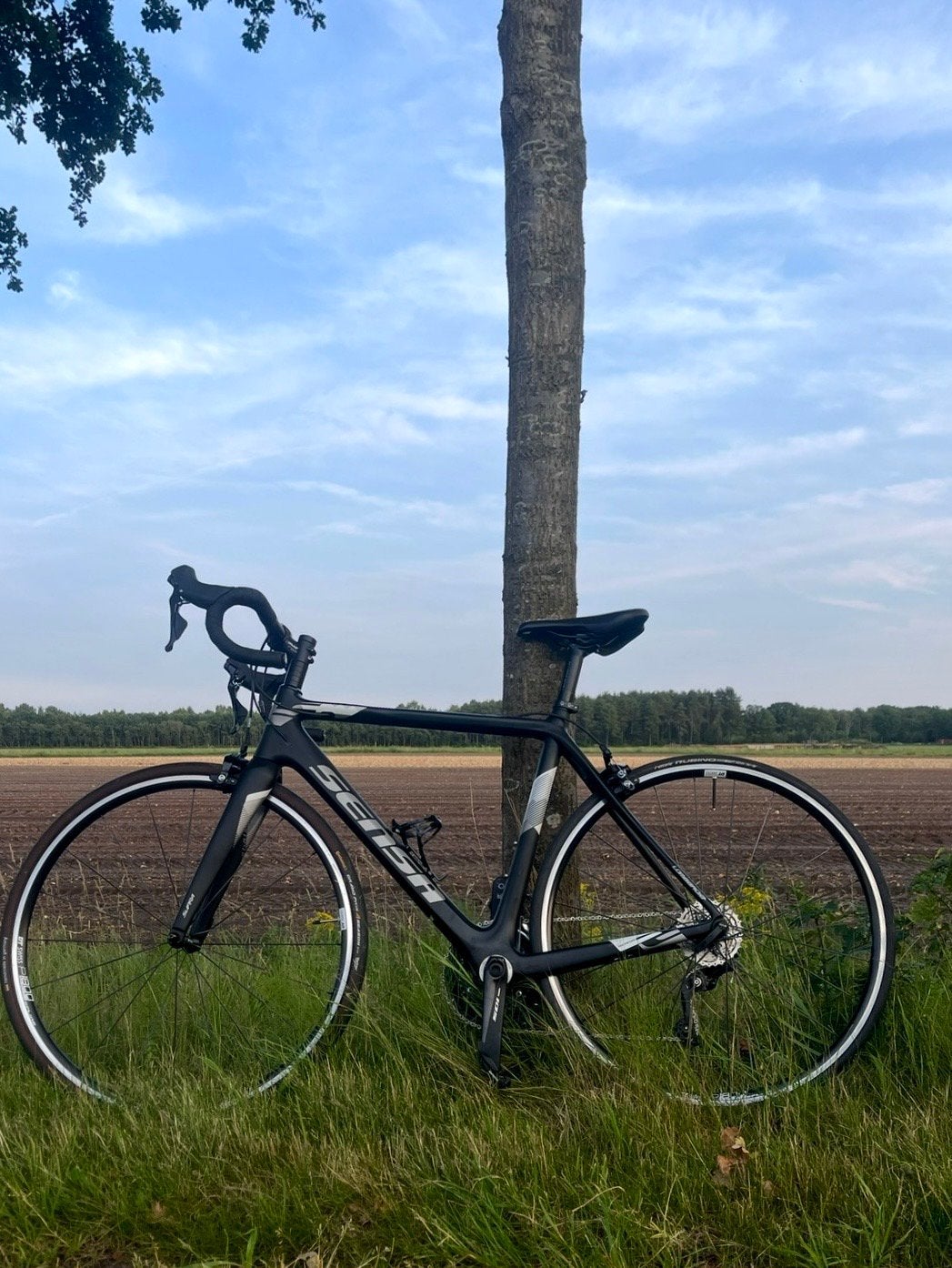 Sensa Lombardia racefiets, Carbon, Zo goed als nieuw, Meer dan 20 versnellingen, 53 tot 57 cm