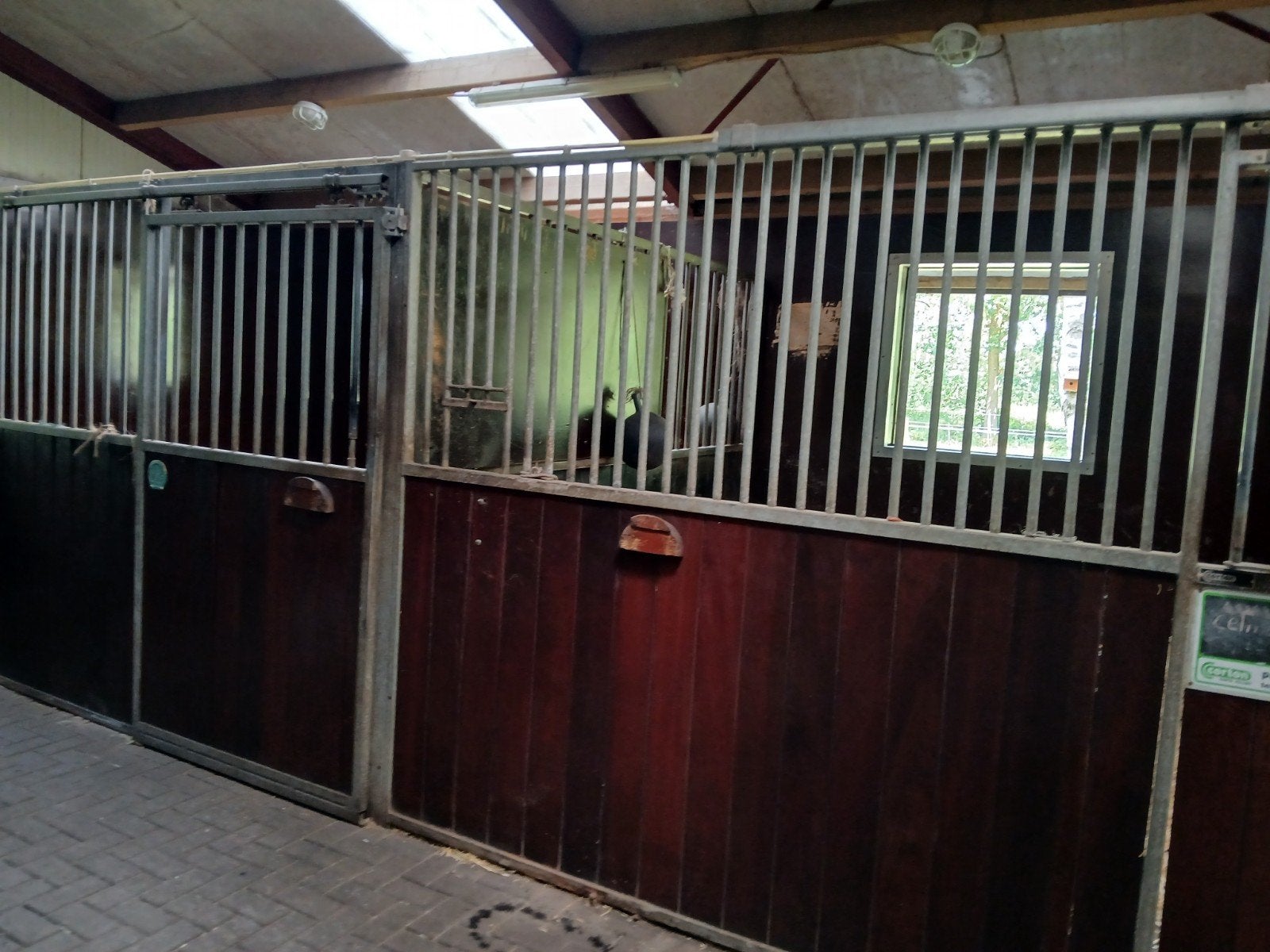 Paardenstal te huur in Asten, Dieren en Toebehoren