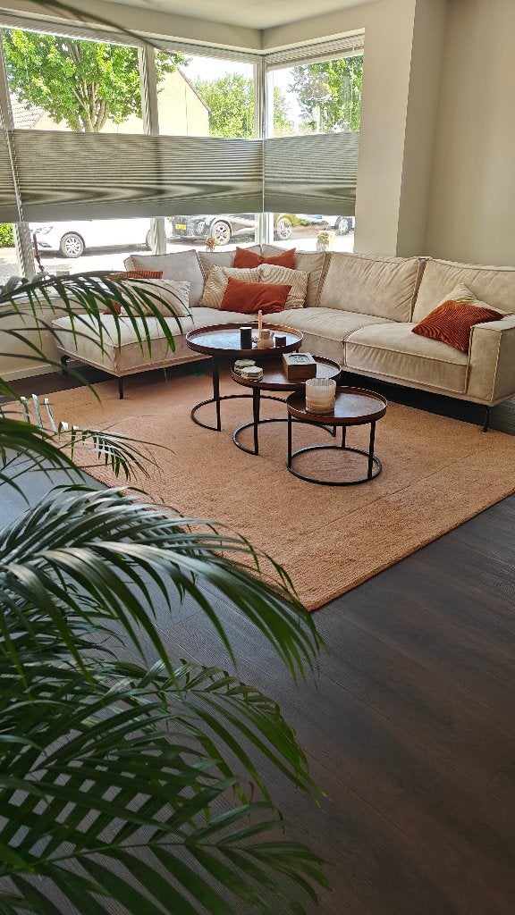 Flair Rugs Vloerkleed Bordüre, Ophalen, Gebruikt, Bruin, 150 tot 200 cm