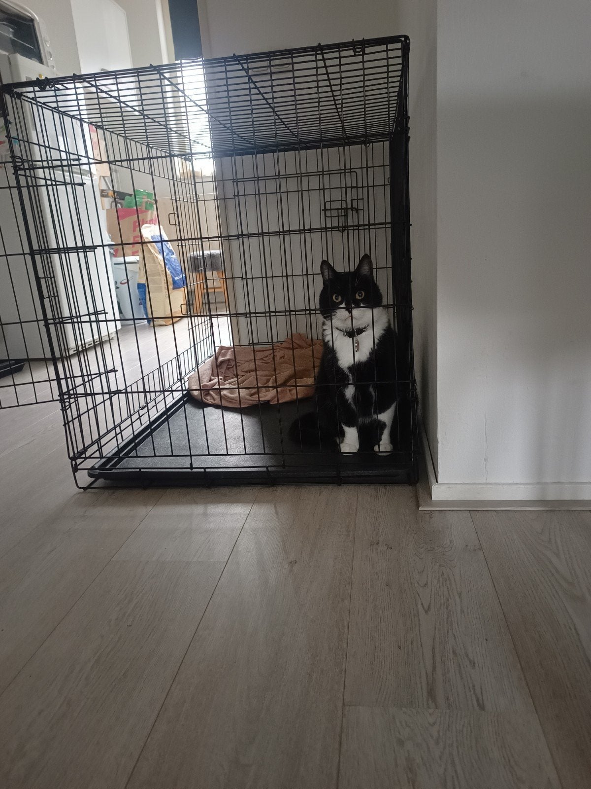 Bench XXL voor grote honden, Ophalen, Hondenkennel, 65 tot 100 cm, Zo goed als nieuw