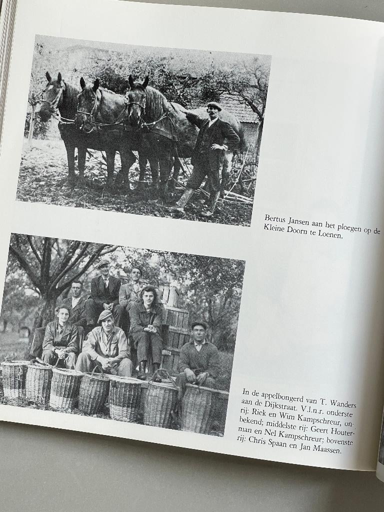 Ostreholt tot Oosterhout geschiedenis van een Betuws dorp  , Boeken, Geschiedenis | Stad en Regio, Ophalen of Verzenden, 20e eeuw of later