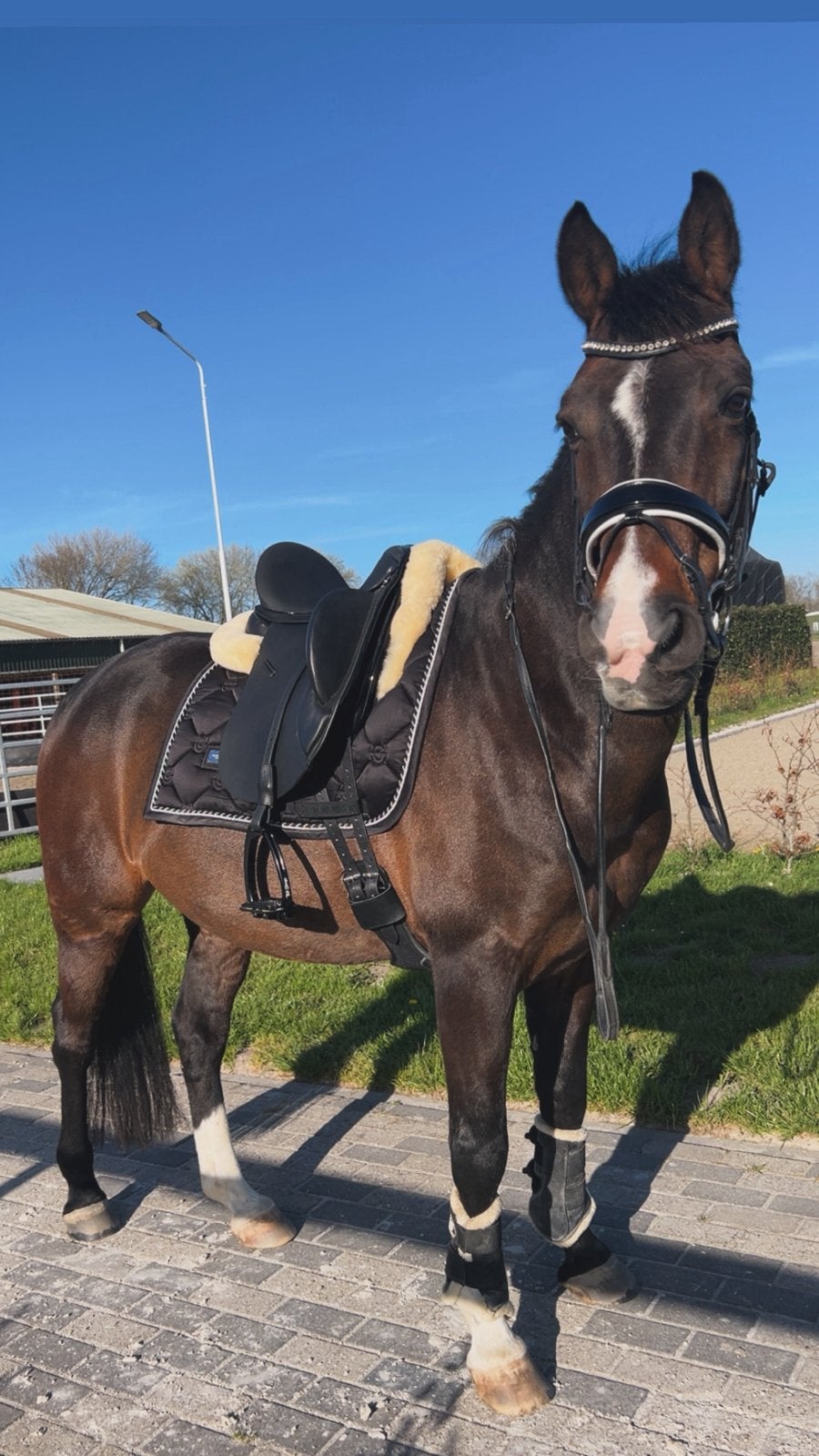 MET SPOED! Verzorgster/bijrijder gezocht vakantie, Diensten en Vakmensen, Dieren | Paarden | Verzorging, Oppas en Les, Verzorging of Verzorgpony's