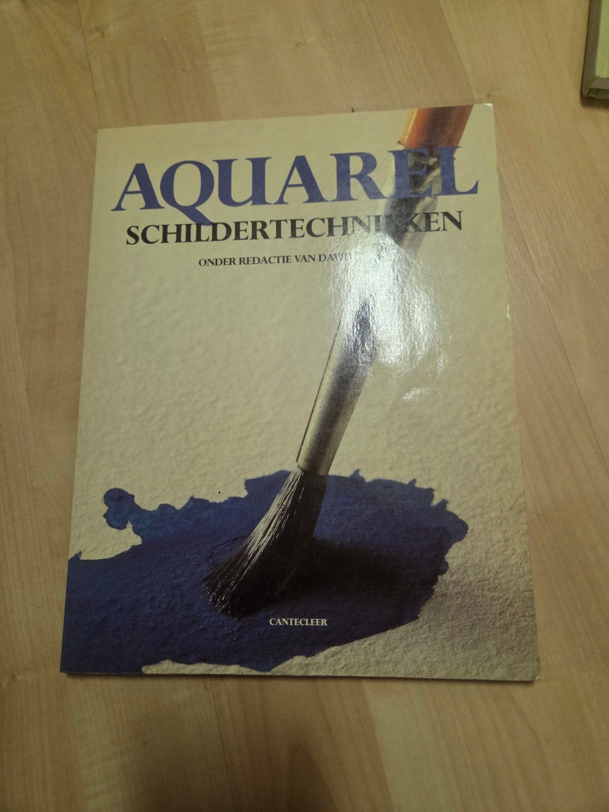 Aquarel Schildertechnieken - Leer aquarel schilderen, Ophalen of Verzenden, Zo goed als nieuw, Overige onderwerpen, Onder redactie van David