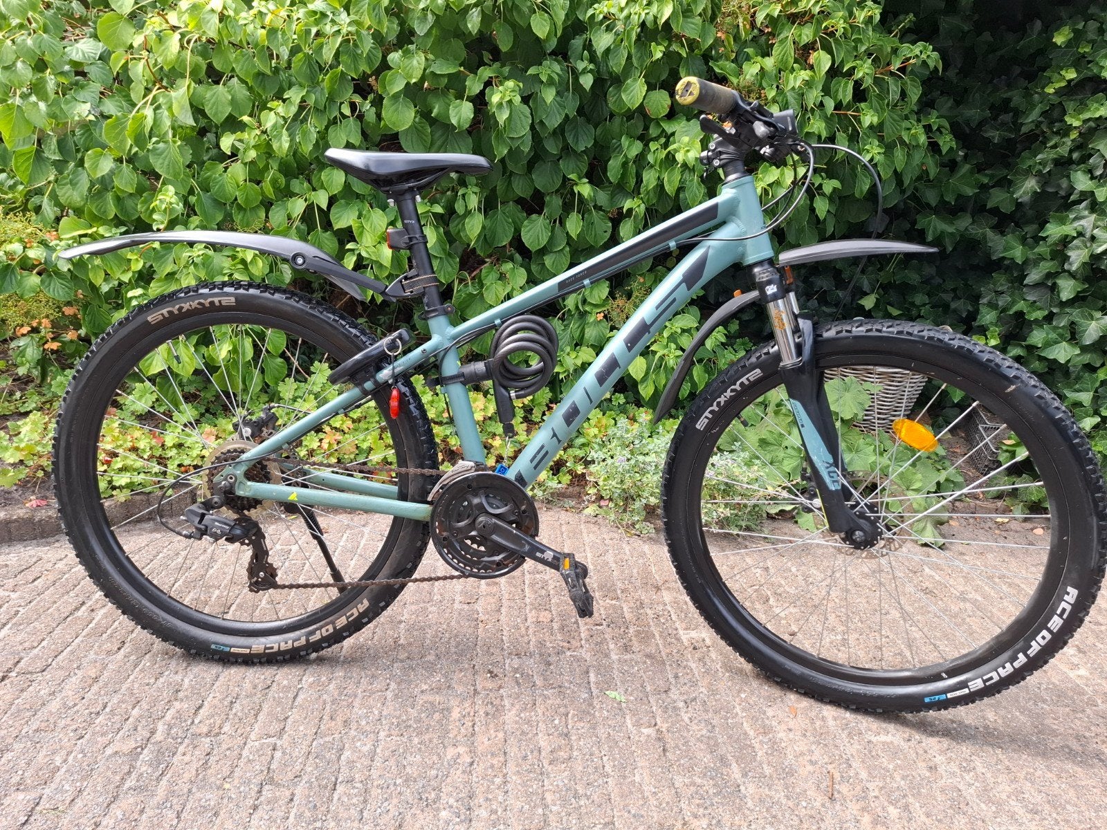 BULLS Wildtail Mountainbike 37 cm | Light Emerald Green Matt, Hardtail, Zo goed als nieuw, Schijfrem, Ophalen