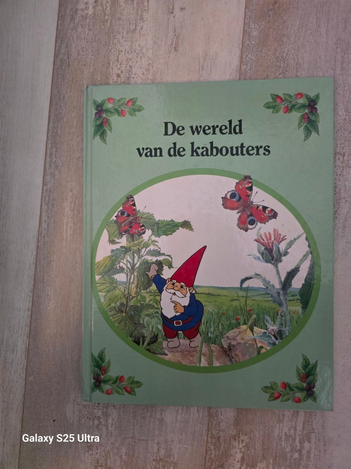 de wereld van de kabouters-poortvliet, Ophalen of Verzenden, Zo goed als nieuw, Rien Poortvliet, Prentenboek
