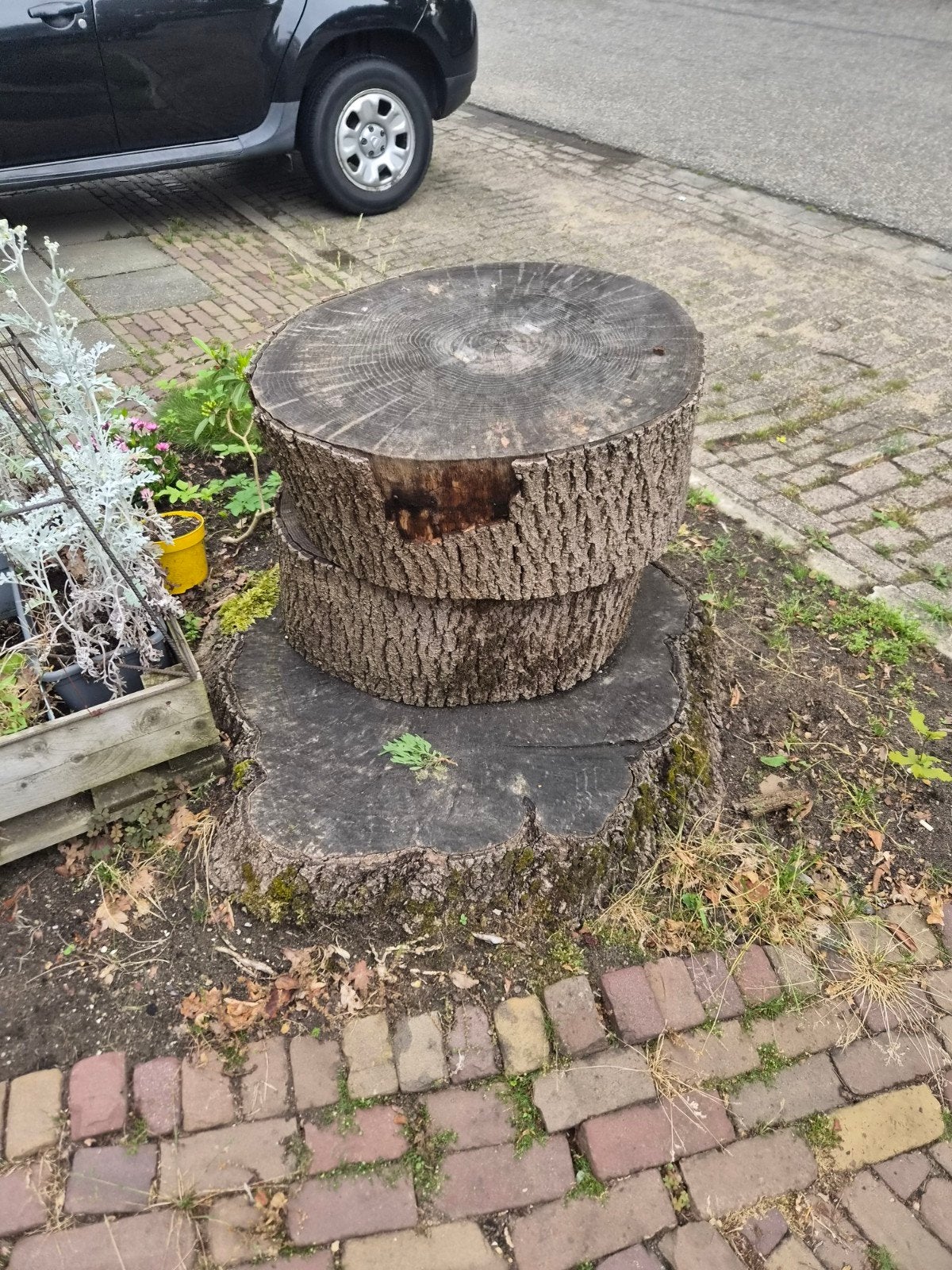 Grote boomstammen voor tuin of decoratie, Ophalen, Overige materialen, Gebruikt, Bruin