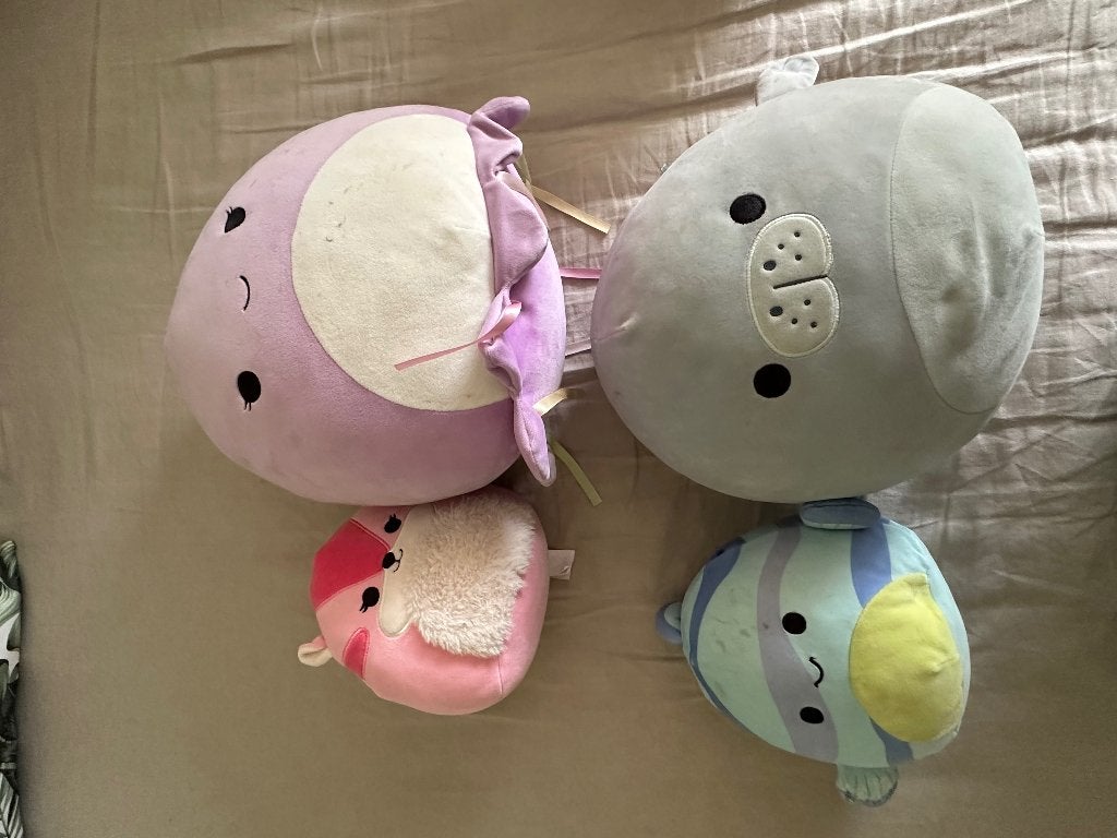 Squishmallow, Ophalen of Verzenden, Zo goed als nieuw, Overige typen