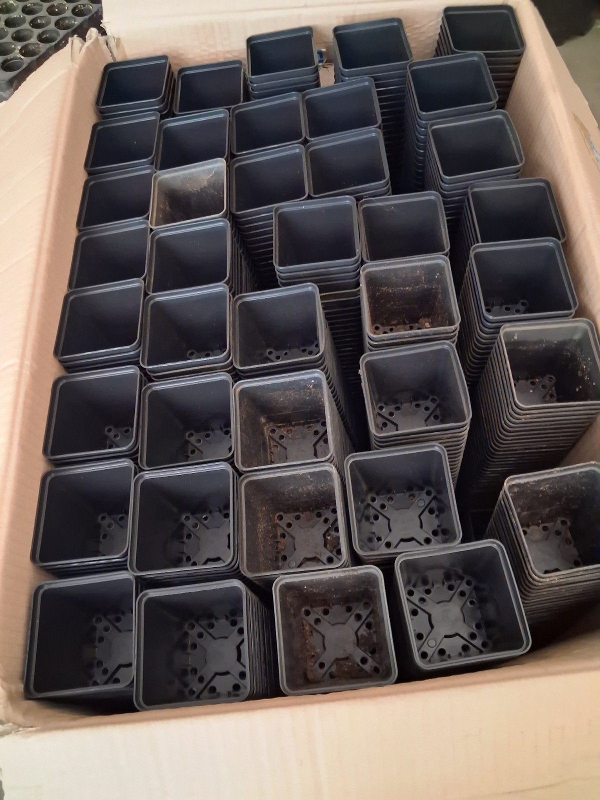 1800 stuks gebruikte en nieuwe vierkante kweekpotten, Ophalen, Kunststof, Gebruikt, Vierkant