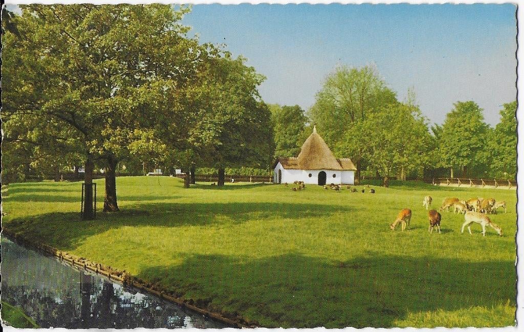 Q119 oude ansichtkaart bergen noord holland hertenkamp, Ophalen of Verzenden, 1960 tot 1980, Gelopen, Klederdracht