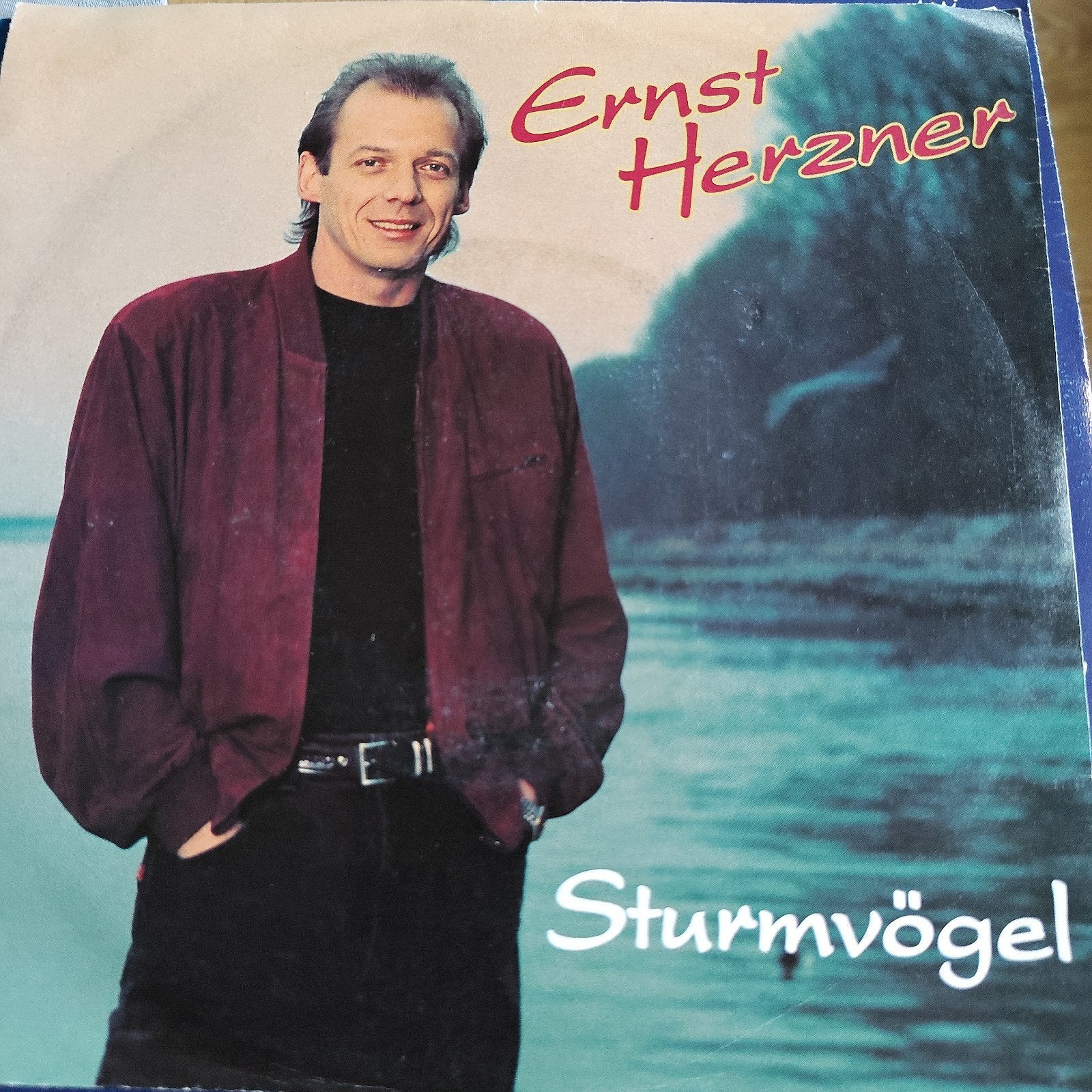 Ernst Herzner - Sturmvögel  Single, Ophalen of Verzenden, Gebruikt, 7 inch, Nederlandstalig