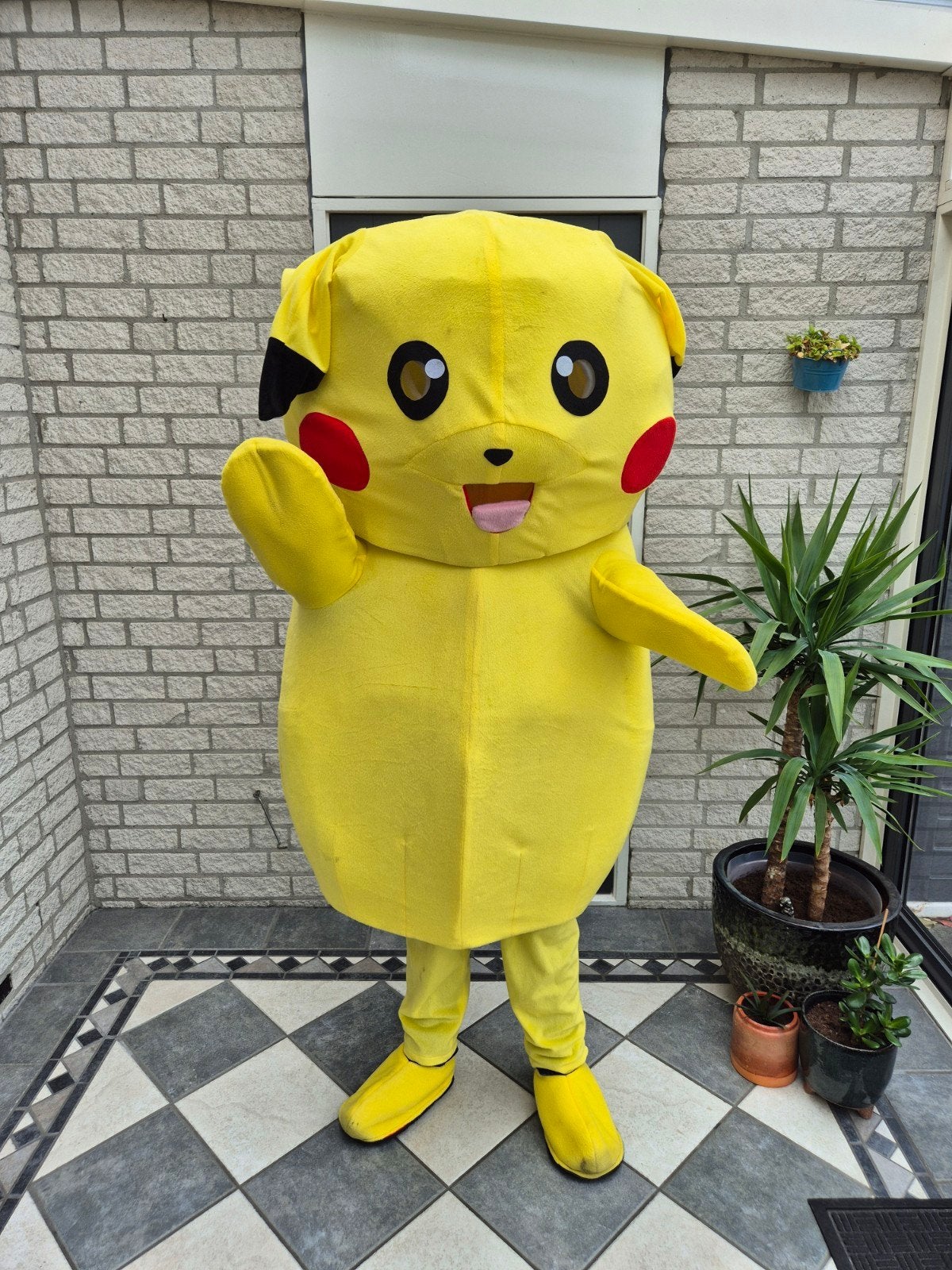 Pikachu Pokemon pak huren Breda kinderfeestje, Ophalen, Verjaardag