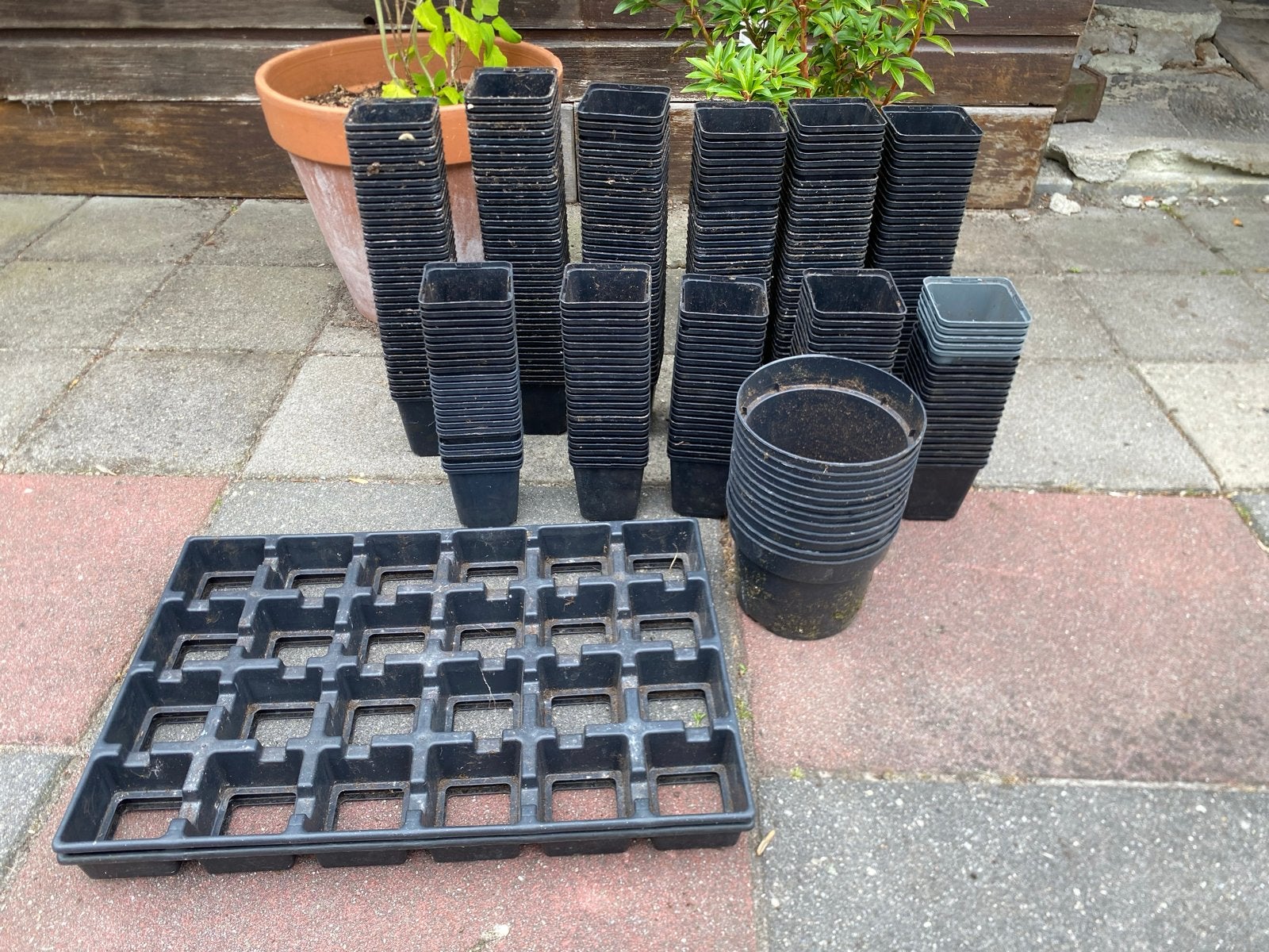Diverse kweekpotjes en zaaitrays -  gratis, Tuin en Terras, Bloempotten, Ophalen, Kunststof, Gebruikt, Binnen