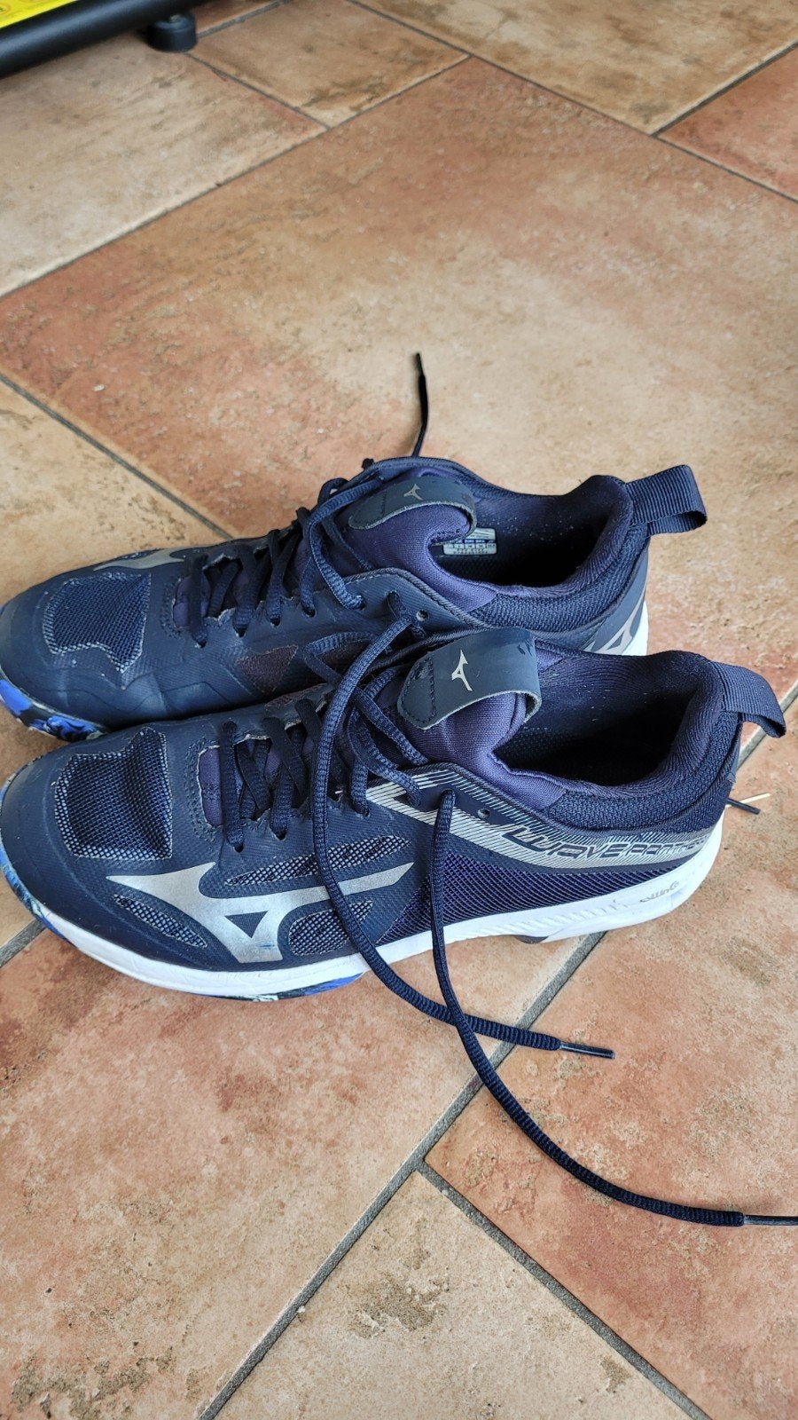 Mizuno Wave Panther korfbal / hockeyschoenen - Maat  38, Sport en Fitness, Overige Sport en Fitness, Gebruikt, Ophalen of Verzenden