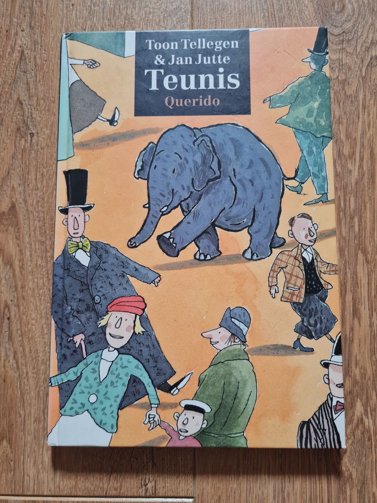 Toon Tellegen - Teunis, Fictie algemeen, Ophalen of Verzenden, Zo goed als nieuw, Toon Tellegen