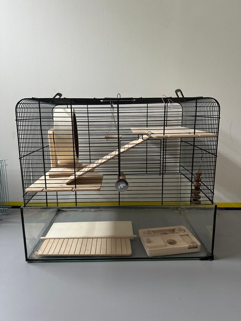 Hamsterkooi + veel toebehoren, Dieren en Toebehoren, Kooi, Minder dan 75 cm, Zo goed als nieuw, Ophalen