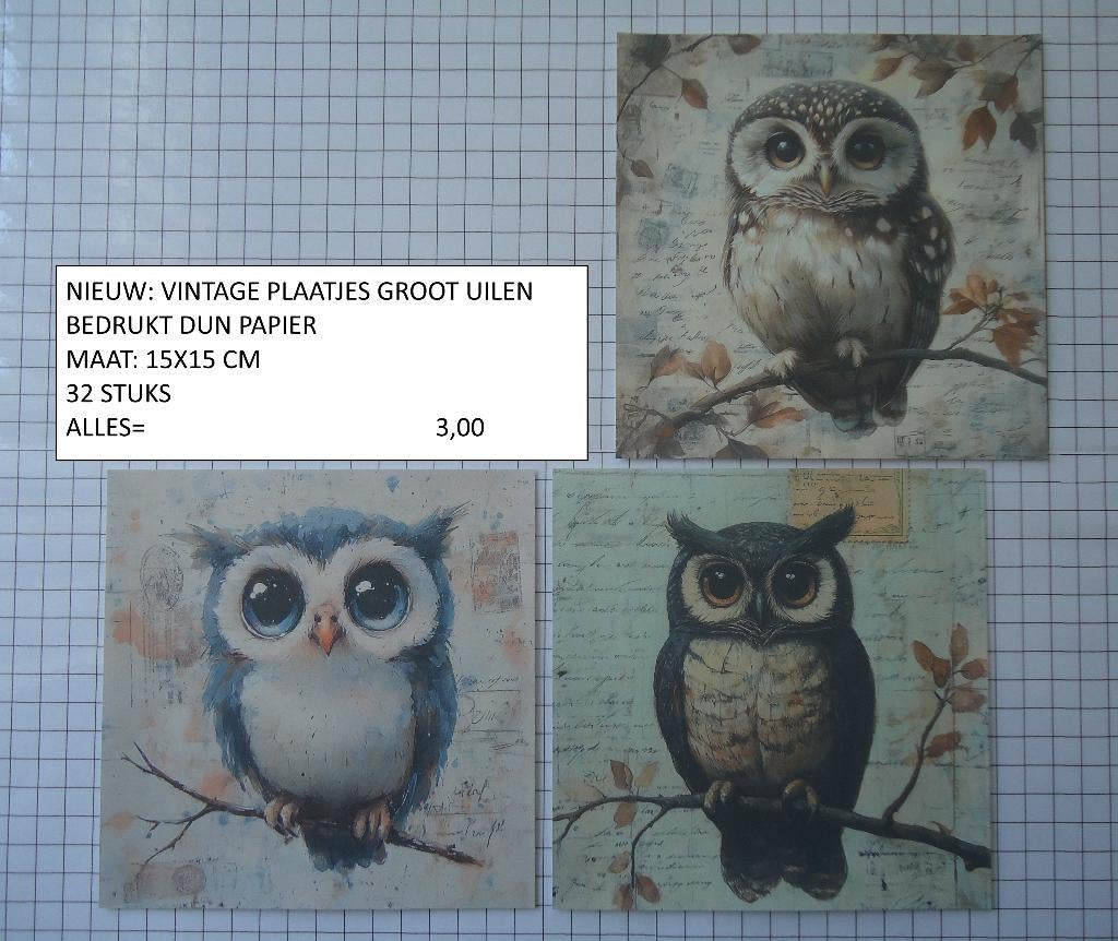 vintage plaatjes groot uilen ( 32 stuks ) alleen verzenden, Hobby en Vrije tijd, Kaarten | Zelf maken, Ophalen, Nieuw, Dieren