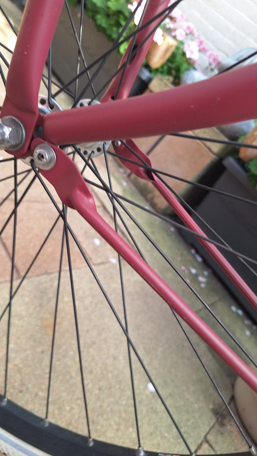 Cortina U4 Transportfiets Raspberry Matt 50 cm, Terugtraprem, Gebruikt, Versnellingen, 50 tot 53 cm