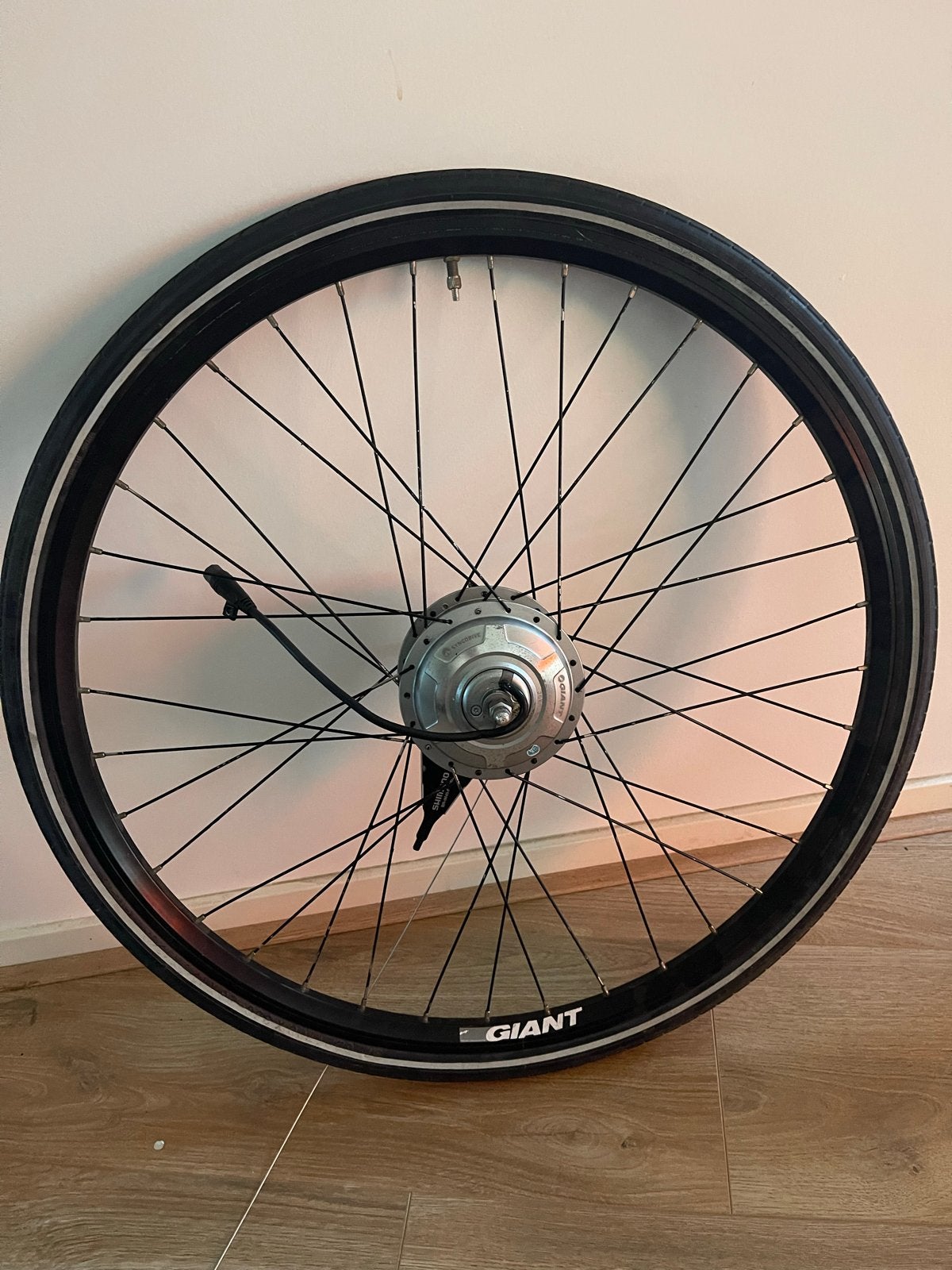 Giant E-Drive Voorwiel met Motor voor E-bike, Gebruikt, Aluminium, Ophalen, Elektrische fiets